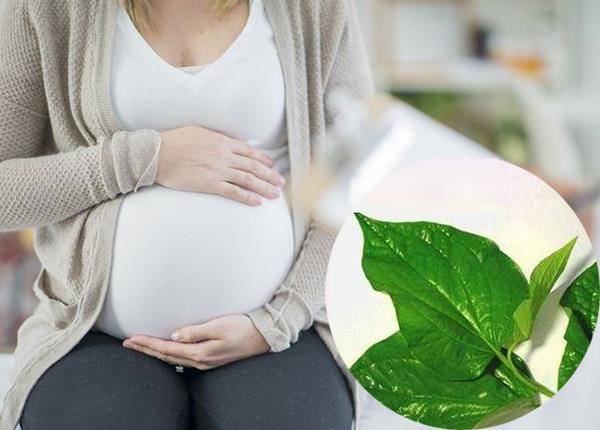 Hóa Giải, Cách Tránh Hơi Lạnh Đám Ma Cho Bà Bầu: Kim Chỉ Nam An Toàn Từ Phong Thủy & Y Học